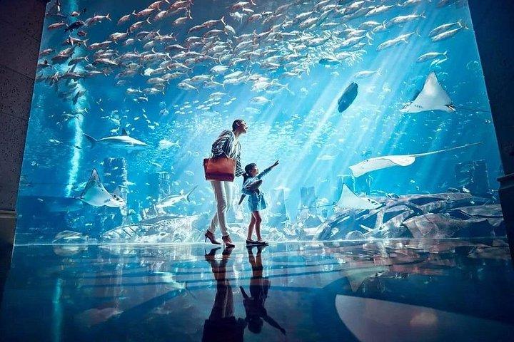 ドバイ：アトランティスのロストチェンバーズ水族館（オプション送迎付き）