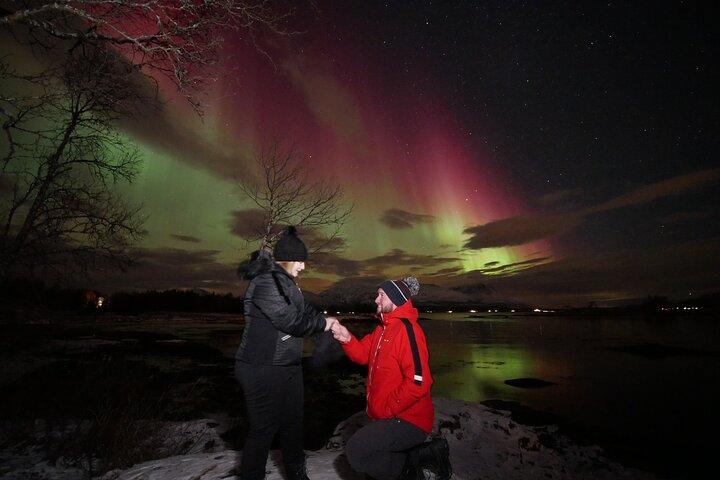 Titta på Aurora Dance