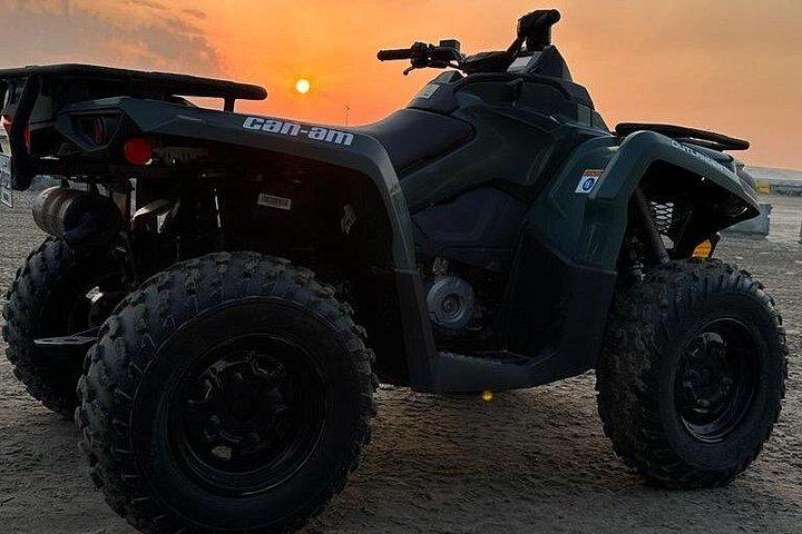 ドーハ - クワッドバイク、ATV、ラクダ乗り、サンドボード付きの半日サファリ