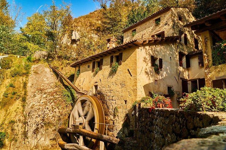 Privé dagtocht van Venetië naar Prosecco en Miramare Castle
