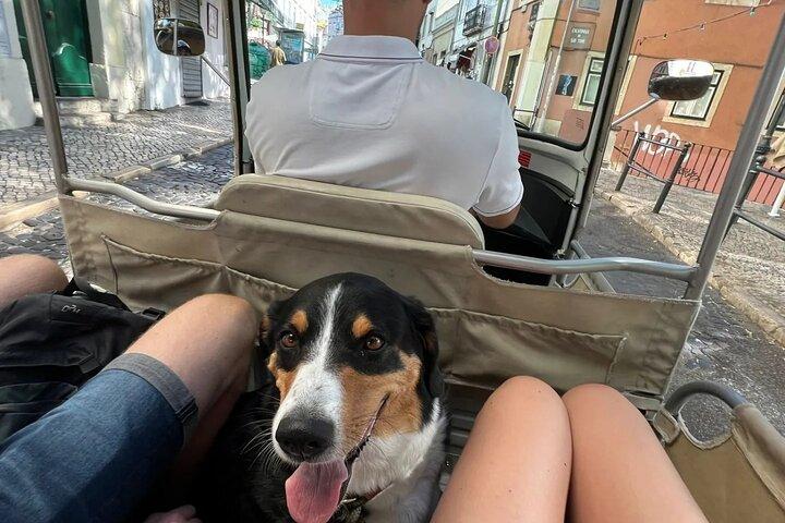 Experience Tuk-Tuk Lisbon Tour 1-3hours