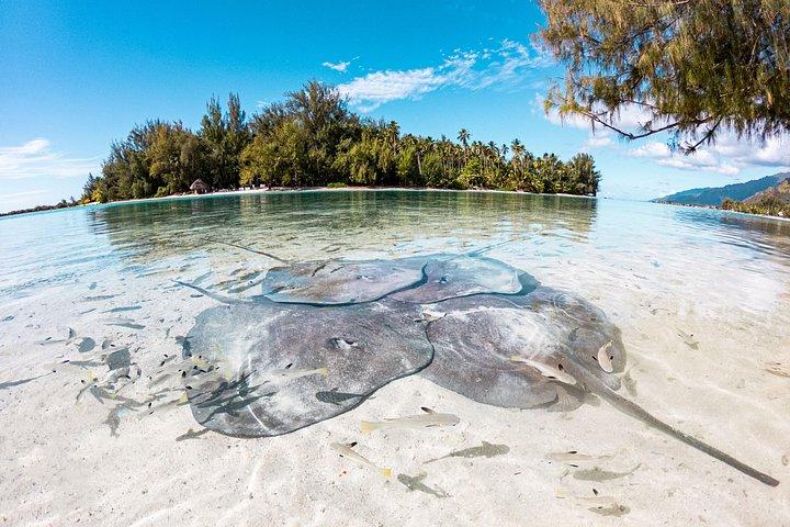 3-timers snorkeltur
