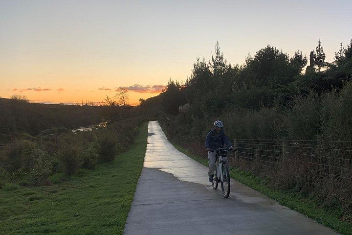Full Day Guided Waikato River Trail E-bike Tour