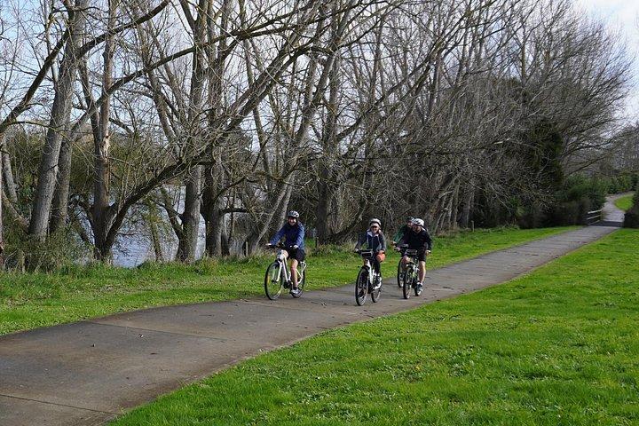 Full Day Guided Waikato River Trail E-bike Tour