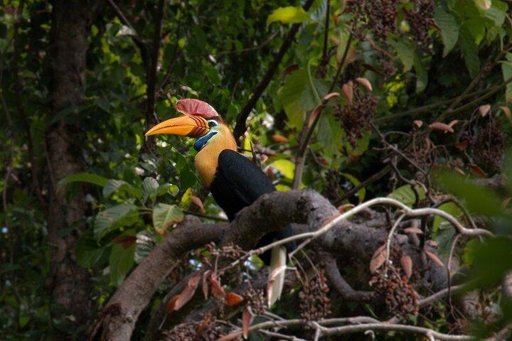 Im Tangkoko Bitung Manado Nature Tourism Park ist das Mittagessen inbegriffen.