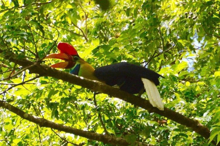 Im Tangkoko Bitung Manado Nature Tourism Park ist das Mittagessen inbegriffen.
