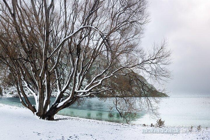 Excursão fotográfica privada de dia inteiro em Queenstown - Siga o ouro