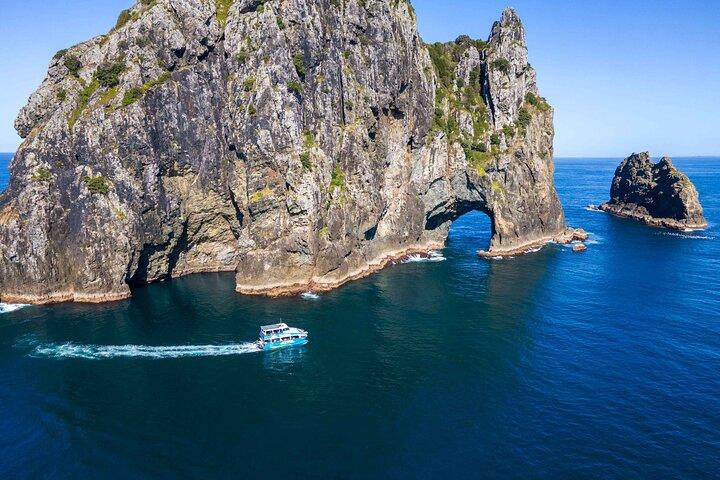 Bay of Islands Cruise & Island Tour - snorkelen, wandelen, zwemmen, dieren in het wild