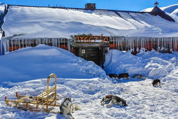 One day to snow from Kutaisi