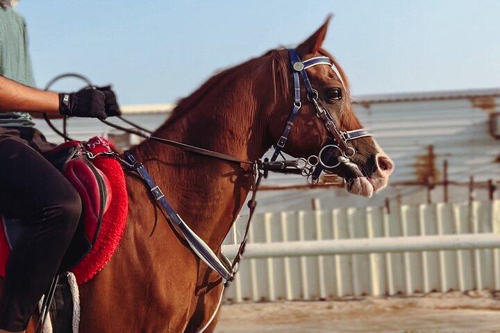 Doha-privésafari van een halve dag met paardrijtocht / kameelrit / sandboard