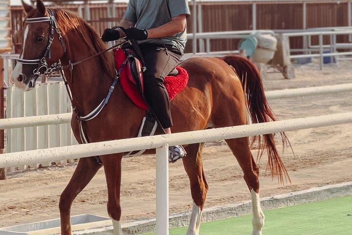 Doha - Private Halbtagessafari mit Ausritt/Kamelritt/Sandboard