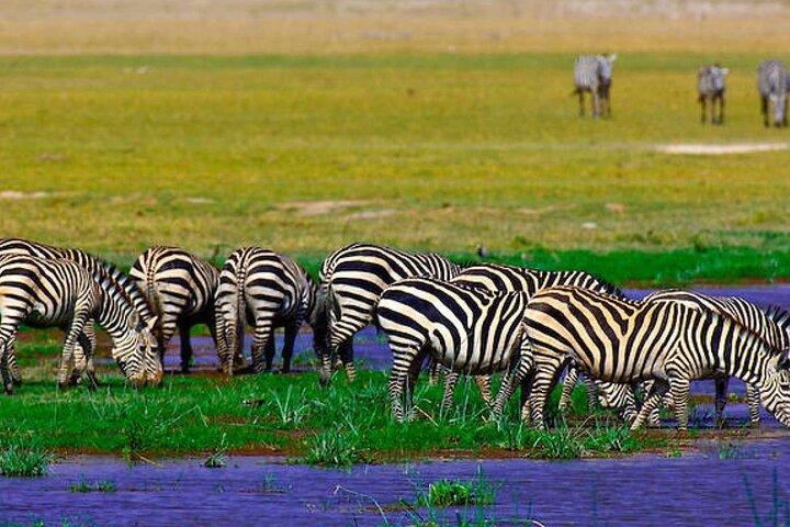 2 nuits 3 jours Parc national Amboseli avec véhicule 4 * 4