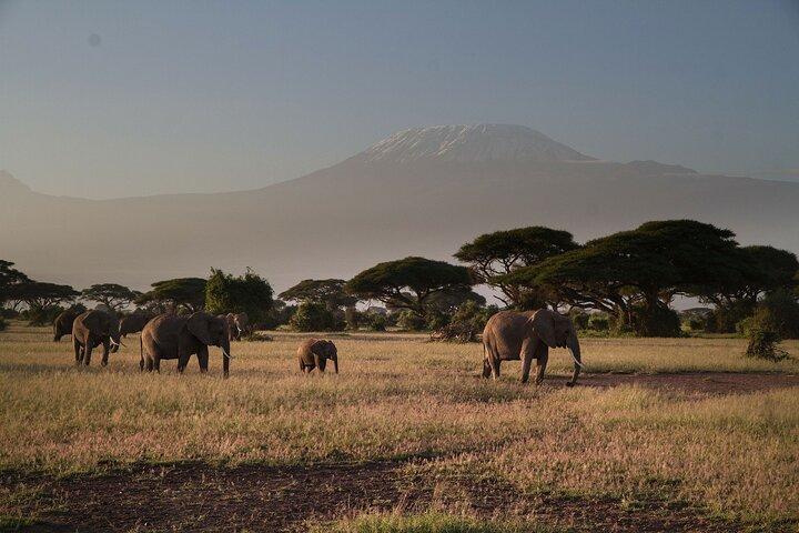 2 nuits 3 jours Parc national Amboseli avec véhicule 4 * 4