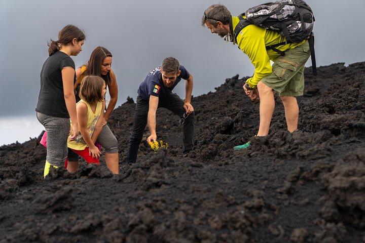 Etna en wijnproeverij vanuit Catania