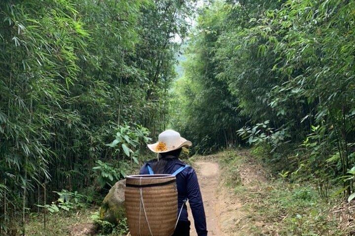 Halbtägige private Sapa-Trekking- und ländliche Dorftour in Lao Cai