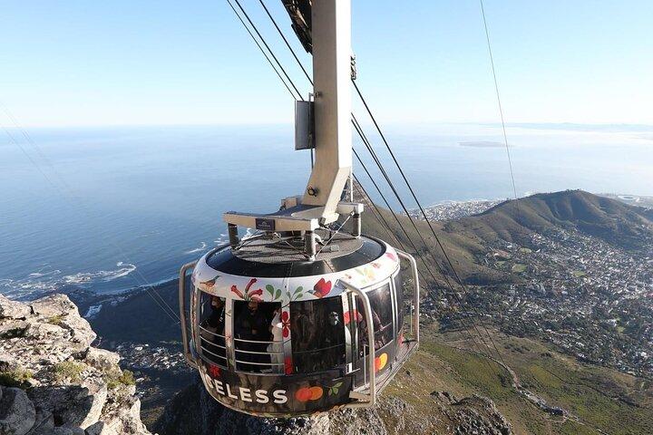 Half Day Tour: Table Mountain & KirstenBosch Botanical Gardens
