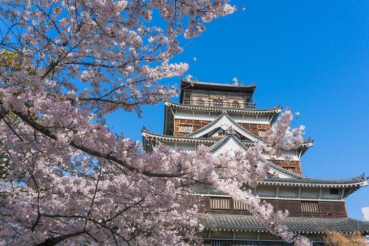 Privat Hiroshima Cherry Blossom og Sakura Experience