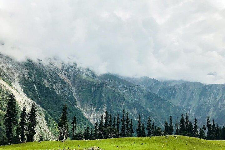 6 dages privat tur i Kashmir-dalen
