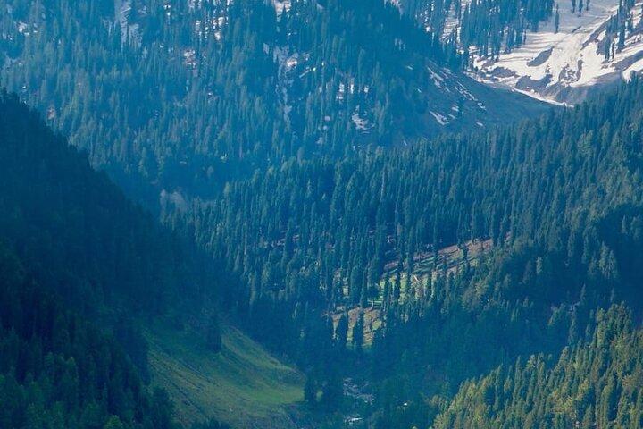 6 dages privat tur i Kashmir-dalen