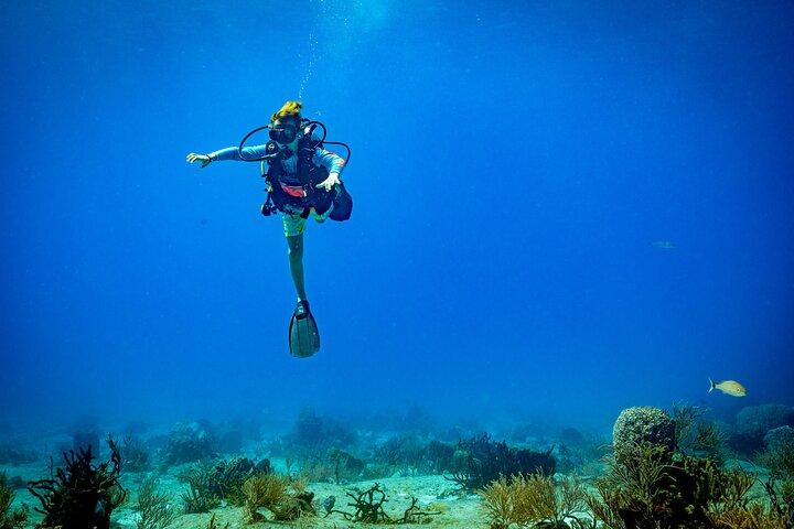 Buceo Certificado 2 Tanques en Cozumel