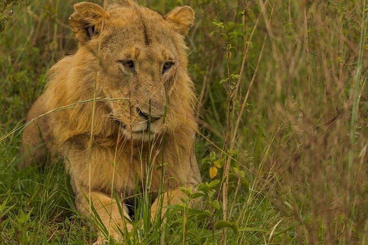 Amboseli national park over night