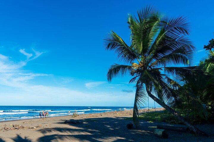 Tortuguero: Kanotocht + Nachtjungle of Schildpaddenpaaien