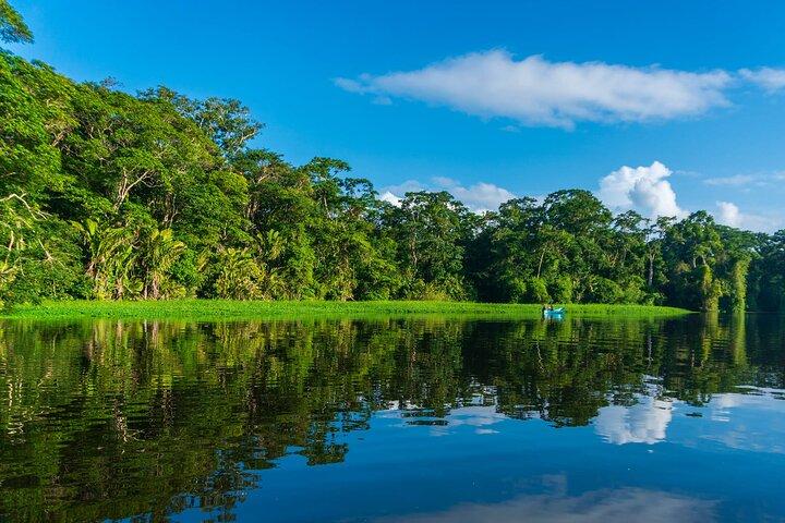 Tortuguero: Kanotocht + Nachtjungle of Schildpaddenpaaien