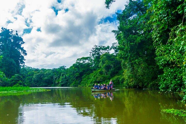 Tortuguero: Kanotocht + Nachtjungle of Schildpaddenpaaien
