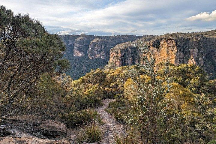 Blue Mountains Wilderness Wonder