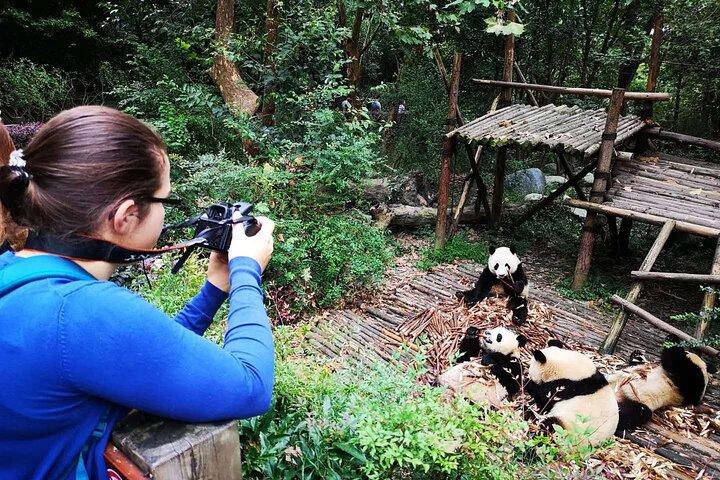 成都パンダと市内ツアー：究極の体験