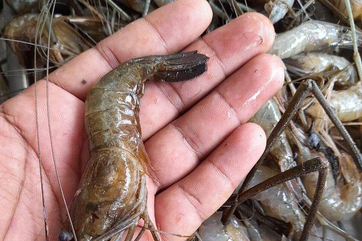 Aprenda la comida tradicional de Kerala en Kumarakom