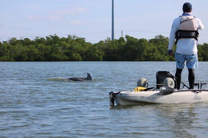 Marco Island and Naples Pedal or Paddle Kayak Tour