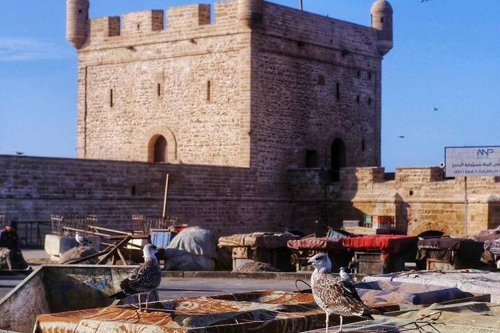 Taxi Ride from Marrakech to Essaouira city