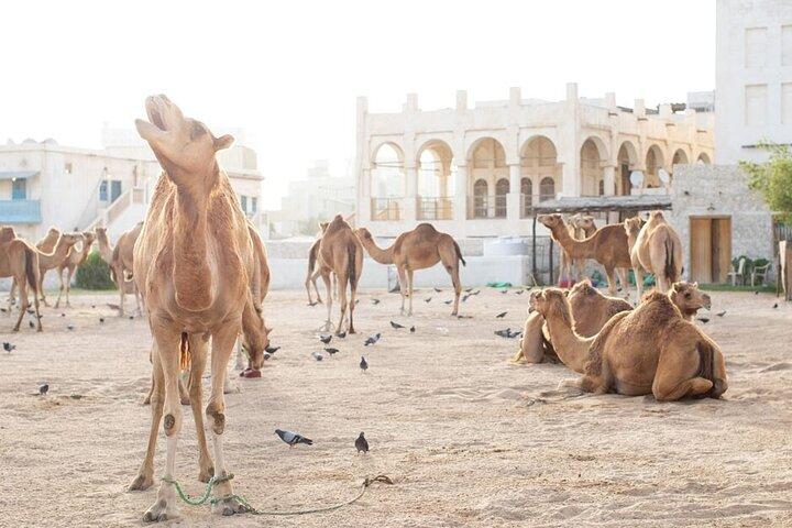 Doha Discovery Skab dit eget eventyr, der kan tilpasses byrundtur