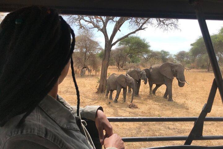 Tour privato di 2 giorni di una notte nel Tarangire National Park