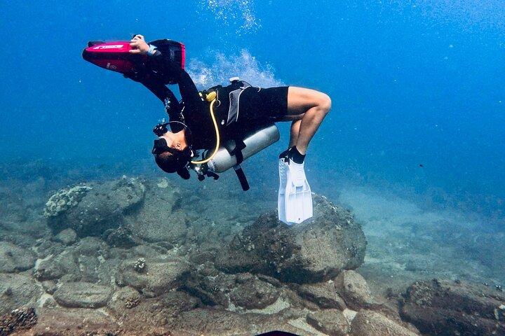 Scuba Diving in Maui with No Experience Needed