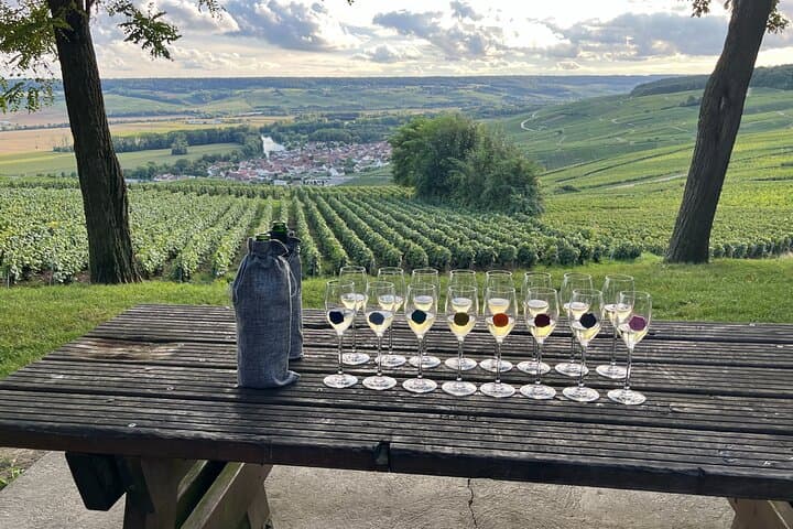 Small-Group Champagne Lunch & Tasting from Paris with Pickup