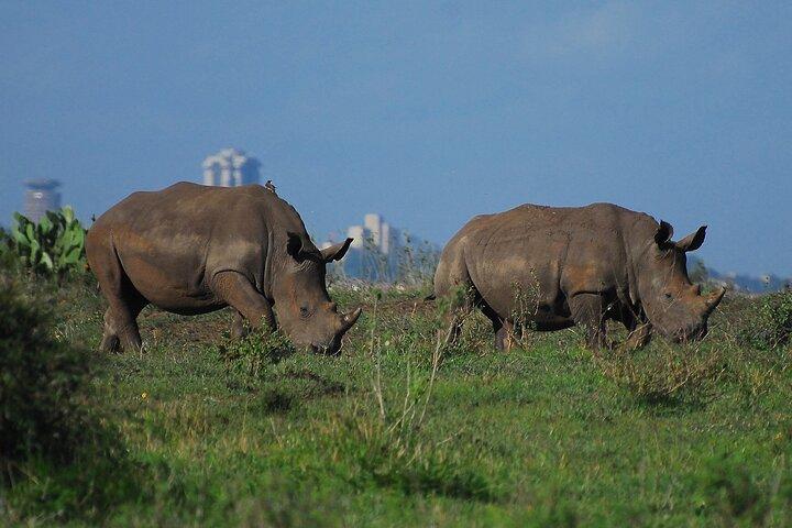Nairobi City Safari : Park & Elephant orphanat