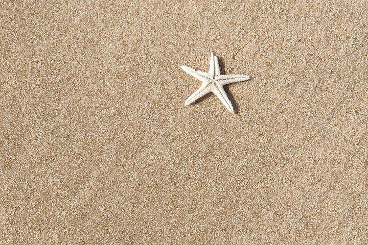 Wüstensafari mit Sandboarding und privater Binnentour