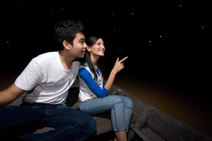 Kuala Selangor Firefly Blinking's including Dinner Group Tour