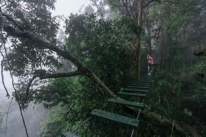 Vientiane Tree Top & Waterfall Excursion