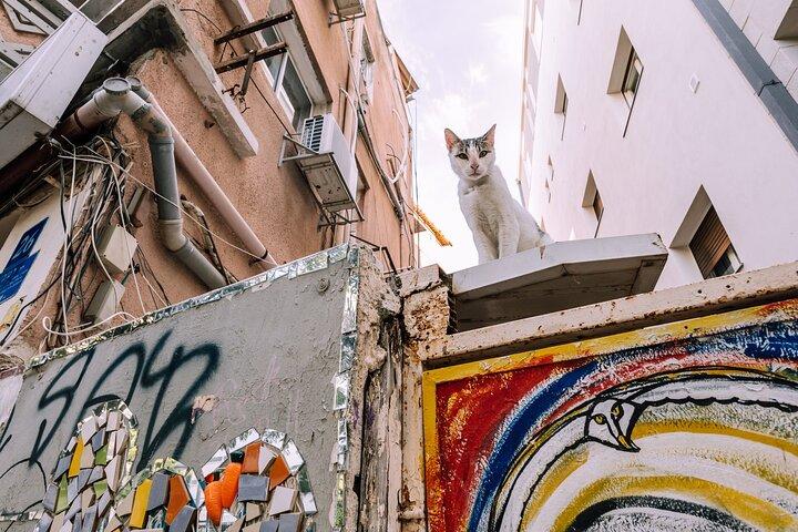 Excursão privada de arte de rua e graffiti em Tel Aviv