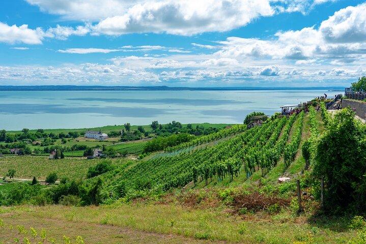 Heldags privata Balatonsjön Wine Tour Experience från Budapest