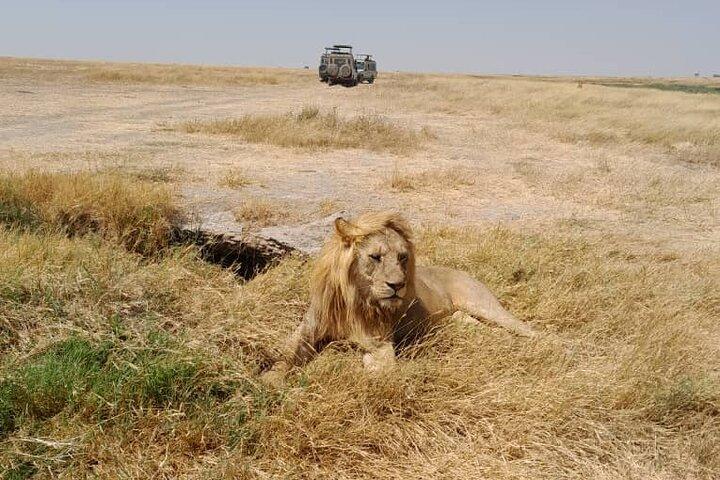 5 dages privat tur i Tanzania Midrage Safari