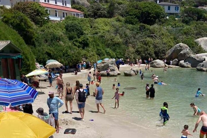 Penguin Watching & Beach Day at Boulder's Beach, Cape Town