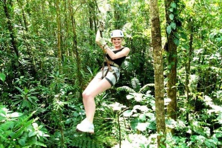 Treetops Fiji Zipline Tour med avlämning Transfer till Nadi Flygplats
