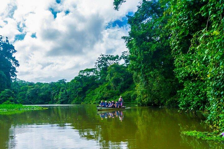 Tortuguero: tour in canoa, escursione giornaliera, tour in collina, tour notturno o tour della deposizione delle uova
