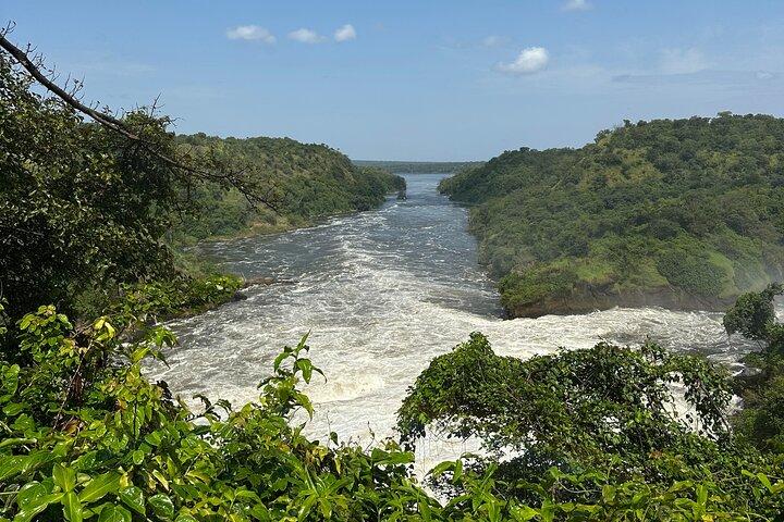 2 dages budgetsafari til Murchison Falls National Park
