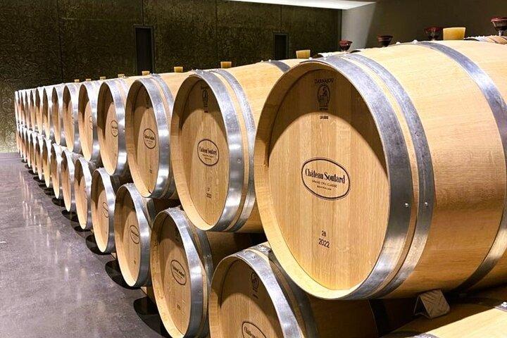 Saint-Emilion E-Bike Wine Tour & chateau Lunch from Bordeaux