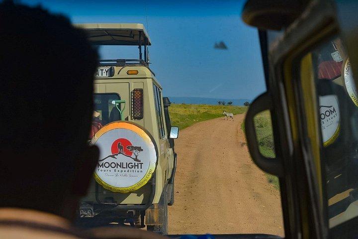 Arusha National Park Day Trip